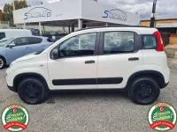 Usata Fiat Panda 4x4 86 CV (63 kW) 2021 Bianco Utilitaria