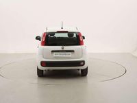 Usata Fiat Panda Easy 69 CV (50 kW) 2020 Bianco Utilitaria