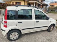 Usata Fiat Panda Dynamic 2008 Bianco Utilitaria