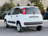 Usata Fiat Panda 4x4 86 CV (63 kW) 2019 Other Utilitaria