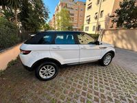 Usata Land Rover Range Rover evoque 150 CV (110 kW) 2013 Bianco SUV