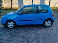 Usata VW Lupo 50 CV (36 kW) 2000 Utilitaria