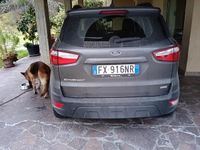 Usata Ford Ecosport 100 CV (73 kW) 2019 Grigio SUV