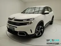 Usata Citroën C5 Aircross Business Class 131 CV (96 kW) 2020 Bianco SUV