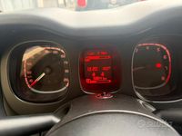 Usata Fiat Panda Easy 69 CV (50 kW) 2019 Grigio Utilitaria