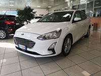 usata Ford Focus 1.5 EcoBlue 120 CV 5p. Business