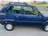 Usata Fiat Panda 4x4 Trekking 54 CV (39 kW) 1999 Blu Utilitaria