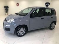 Usata Fiat Panda Easy 69 CV (50 kW) 2019 Grigio Utilitaria