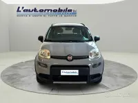 Usata Fiat Panda 4x4 S 86 CV (63 kW) 2019 Grigio Utilitaria