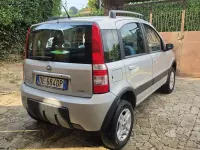 Usata Fiat Panda 4x4 69 CV (50 kW) 2006 Utilitaria