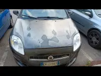Usata Fiat Bravo 120 CV (88 kW) 2007 Utilitaria