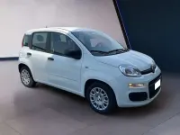 Usata Fiat Panda 69 CV (50 kW) 2025 Bianco Utilitaria