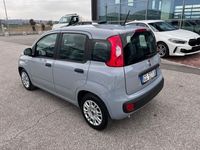 usata Fiat Panda 1.0 FireFly S&S Hybrid / Kit 5 Posti