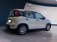 Usata Fiat Panda S 70 CV (51 kW) 2023 Bianco Utilitaria