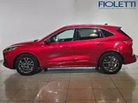 Usata Ford Kuga ST-Line 190 CV (139 kW) 2023 Rosso SUV