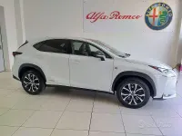 Usata Lexus NX300h Sport Line 197 CV (144 kW) 2016 Bianco SUV