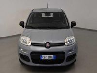 usata Fiat Panda 1.2 Easy