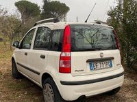 Usata Fiat Panda 77 CV (56 kW) 2010 Bianco Utilitaria