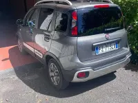 Usata Fiat Panda Cross Cross 69 CV (50 kW) 2019 Grigio Utilitaria