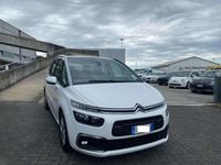 Usata Citroën C4 SpaceTourer Feel 131 CV (96 kW) 2020 Bianco Monovolume