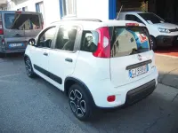 Usata Fiat Panda City Life 69 CV (50 kW) 2022 Bianco Utilitaria