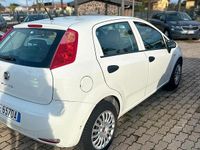 Usata Fiat Punto Lounge 85 CV (62 kW) 2016 Bianco Utilitaria