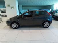 usata Fiat Punto 1.2 8V 5p. Lounge