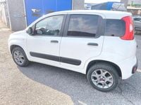 Usata Fiat Panda 4x4 2019 Bianco Utilitaria