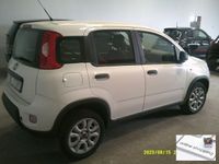 usata Fiat Panda 4x4 - - 1.3 MJT S&S