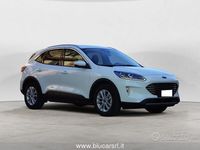 Usata Ford Kuga Titanium X 120 CV (88 kW) 2023 Bianco SUV