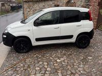 Usata Fiat Panda Cross Cross 80 CV (58 kW) 2016 Utilitaria