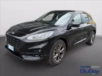 Usata Ford Kuga ST-Line 150 CV (110 kW) 2023 Grigio SUV