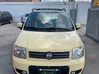 Usata Fiat Panda 4x4 Climbing 60 CV (44 kW) 2005 Giallo Utilitaria