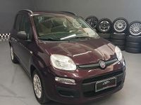 Usata Fiat Panda Lounge 69 CV (50 kW) 2012 Mirtillo Utilitaria