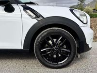 Usata Mini Cooper D Countryman Business 111 CV (81 kW) 2014 Bianco SUV