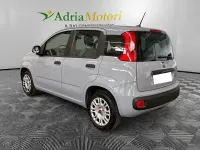 Usata Fiat Panda Lounge 69 CV (50 kW) 2020 Grigio Utilitaria