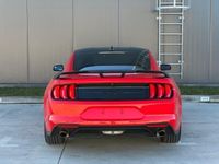 Begagnad Ford Mustang Fastback 317 HK (233 kW) 2020 Röd Sportkupé
