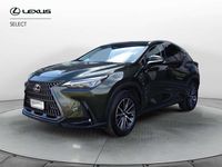 Usata Lexus NX300 243 CV (178 kW) 2023 Verde SUV
