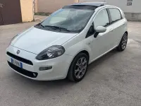 Occasion Fiat Punto Lounge 85 ch (62 kW) 2012 Blanc Citadine