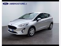 usata Ford Fiesta 1.1 75 CV 5 porte Business usato