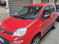 Usata Fiat Panda Cross Cross 71 CV (52 kW) 2020 Rosso Utilitaria