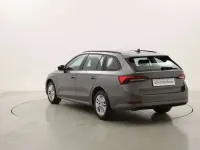 Usata Skoda Octavia Ambition 116 CV (85 kW) 2023 Grigio Station wagon