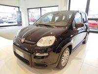 Usata Fiat Panda S 69 CV (50 kW) 2024 Nero Utilitaria