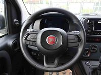 Nuova Fiat Panda S 2025 Bianco