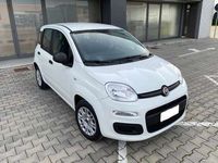 usata Fiat Panda 1.2 benzina 69cv