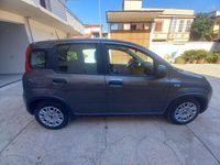 Usata Fiat Panda S 69 CV (50 kW) 2023 Argento Utilitaria