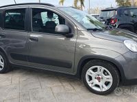 Usata Fiat Panda 70 CV (51 kW) 2022 Grigio Utilitaria