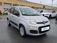 usata Fiat Panda 1.2 69cv easypower e6 easy