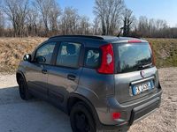 Usata Fiat Panda 4x4 95 CV (69 kW) 2016 Grigio Utilitaria