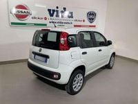 Usata Fiat Panda 71 CV (52 kW) 2019 Bianco Utilitaria